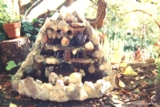ethumb/031brens_fountain.jpg
