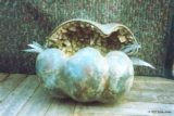 ethumb/035clamshell.jpg