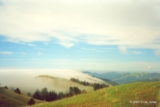 ethumb/300bolinasfog.jpg