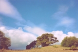 ethumb/301bontempeclouds.jpg