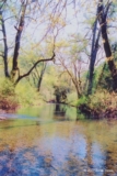 ethumb/308lagunitascreek.jpg