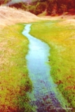 ethumb/310lakealpinecreek.jpg