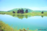 ethumb/311lakenicaso.jpg