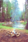 ethumb/316shastacamp.jpg