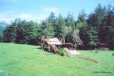 ethumb/317sonomawagon.jpg
