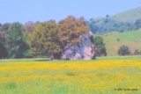 ethumb/318spiritrock.jpg