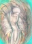 dthumb/064bluelady.jpg