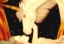 dthumb/092unison.jpg