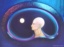 dthumb/095adam.jpg