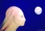 dthumb/096eve.jpg